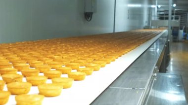 Industrial food factory or bakery, cookies on automated production line or conveyor belt, 