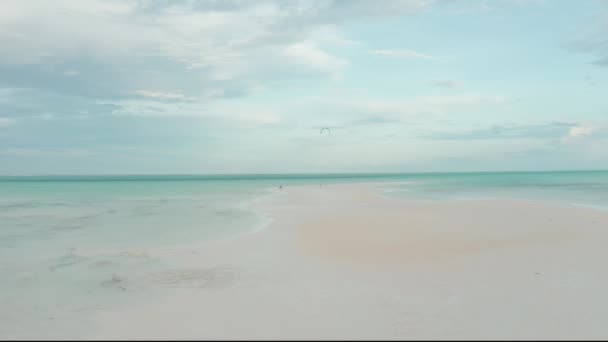 Εναέρια Φύση Και Θέα Στην Παραλία Της Ζανζιβάρης — Αρχείο Βίντεο