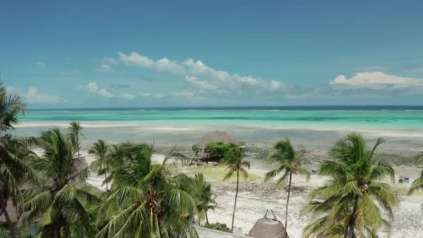 Powietrzna Przyroda Widok Plażę Zanzibar — Wideo stockowe