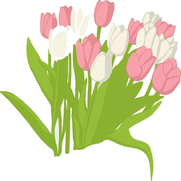 Tulip Flower Tulips White Background Concept Card Mothers Day March Ліцензійні Стокові Вектори