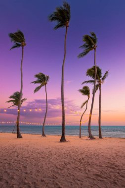 Bulanık ışık, gün batımında Hindistan cevizi palmiyesi arkaplanı, tropikal deniz ve kum. Bokeh 'li sarı iplik ışıkları