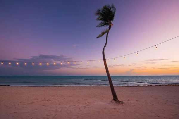 Verschwommenes Licht Bokeh Mit Kokospalmen Hintergrund Auf Sonnenuntergang Tropischem Meer — Stockfoto