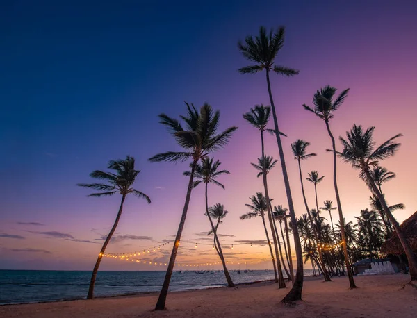 Zamazane Światło Bokeh Tłem Palmy Kokosowej Zachodzie Słońca Tropikalne Morze — Zdjęcie stockowe