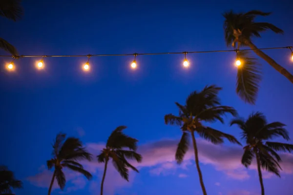Verschwommenes Licht Bokeh Mit Kokospalmen Hintergrund Auf Sonnenuntergang Tropischem Meer — Stockfoto