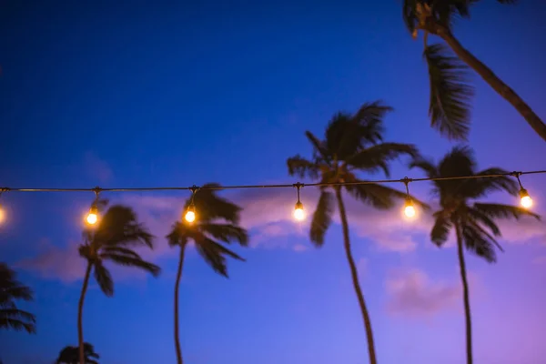 夕焼け熱帯の海と砂の上にヤシの木の背景でぼやけた光のボケ 黄色の文字列ライトボケで — ストック写真
