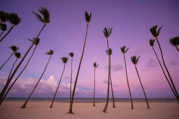Sonnenuntergang Strand Paradiesischer Strand Tropisches Paradies Weißer Sand Strand Palmen — Stockfoto