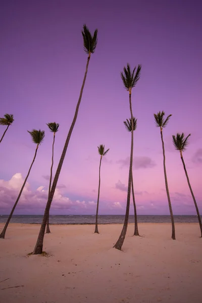 Zachód Słońca Plaży Rajska Plaża Tropikalny Raj Biały Piasek Plaża — Zdjęcie stockowe