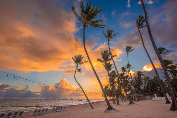 Ηλιοβασίλεμα Στην Παραλία Παραλία Paradise Τροπικός Παράδεισος Λευκή Άμμος Παραλία Εικόνα Αρχείου