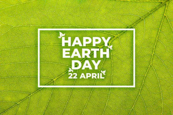 Feliz Día Tierra Concepto Ecológico Ecológico Día Mundial Del Medio Fotos de stock