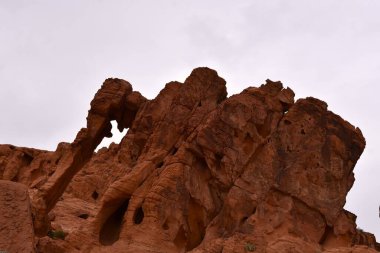 Nevada 'daki Ateş Vadisi Parkı' nda fil kayası.