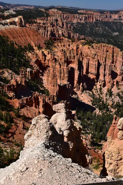 Utah 'taki Bryce Canyon Ulusal Parkı' ndaki serseriler.