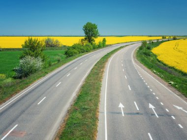 Bahar günü, mavi gökyüzünün altında buğday ve kolza tohumu tarlaları arasında virajlı bir yol var.
