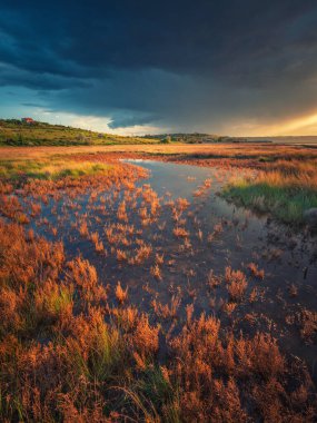 dramatik manzaraya portre görüntüsü çimen ile gölde kırmızı gün batımı altında dramatik gökyüzü altında fotokopi alanı ile