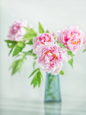 Güzel şakayık demetine portre manzarası, cam vazoda çiçekler, yumuşak ışıkta beyaz masada.