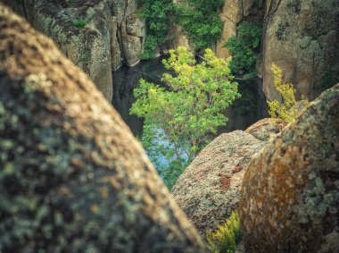 Kanyondaki dev granit kayalar arasında yeşil ağaca telsiz görüntüsü