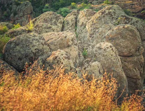 Granit kayalara ve altın çimenlere yakın görüntüde soyut görünüm
