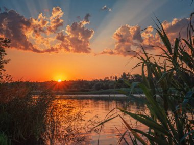 Bulutlar ve kamışlarla nehirde gün batımı