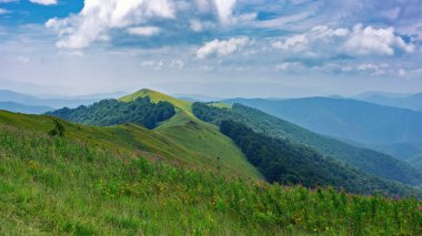 Karpat Dağları 'ndaki dağ otlakları. Yeşil yaz manzarası