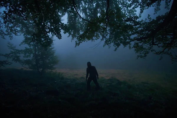 A sinister dark hooded figure in a misty forest. Atmospheric creepy scene in nature