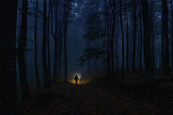 Két Turista Sétál Éjszakai Erdőben Földúton Fényszórók Fényében — Stock Fotó