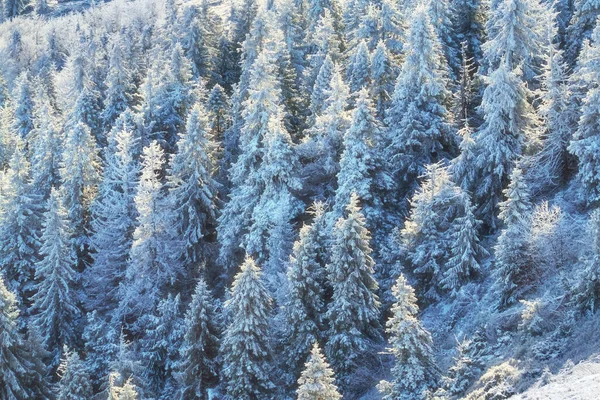 Dağ yamacında kardaki uzun kayalıklar. Kış dokusu