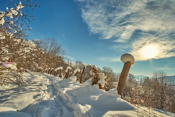 Yoğun bir kar yağışı sonrası güneşli bir sabahta dağlık kırlarda kar yolu kapladı. Derin karda sadece dar bir ayak izi var. Parlak kış manzarası, Noel hikayesi