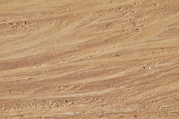 Texture of wet, sandy soil. Natural earth surface