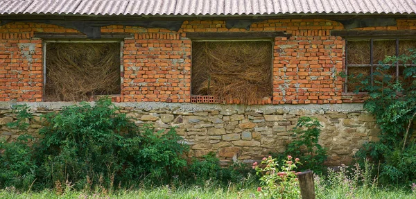 Brick Unplastered Rural Building Filled Hay Dry Hay Falls Out — Stock Photo, Image