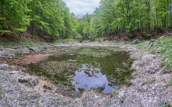 Secagem Lago Montanha Floresta Água Derretida Que Enche Lago Primavera — Fotografia de Stock