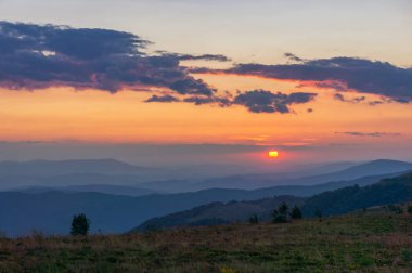 Akşamları dağ manzarası, günbatımında orman. Resim gibi, sakin manzara, sakin bir yaz akşamı havası.