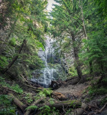Karpat Dağları ormanlarındaki Jalin şelalesinin panoramik fotoğrafı