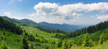 Güneşli bir yaz gününde bir dağ vadisi manzarası. Yeşil dağ çayırlarının, ladin ağaçlarının ve koyun çiftliklerinin arasındaki toprak yol.