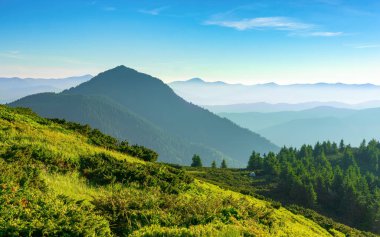 Güzel bir sabah manzarası tenha bir düzlükte yalnız bir turist çadırı.