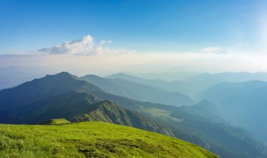 Dağlarda bir yaz akşamı. Karpat Dağları 'ndaki sakin dağ manzarası