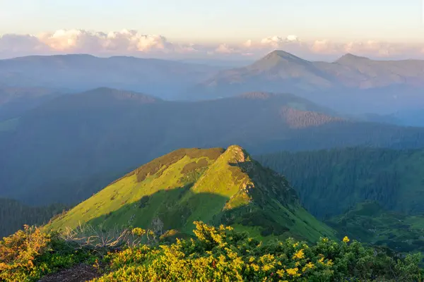 Güneşli yeşil tepelerin ve yumuşak bulutlu pastel bir gökyüzünün altındaki uzak, sisli dağların nefes kesici manzarası. Doğa meraklıları ve maceracılar için mükemmel sakin bir manzara..