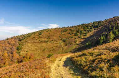 Güneşli bir sonbahar yamacı. Etrafı renkli ağaçlar ve çam parçalarıyla çevrili, berrak mavi gökyüzünün altında, doğanın güzelliğinin huzurlu ve manzaralı bir görüntüsünü sunuyor..