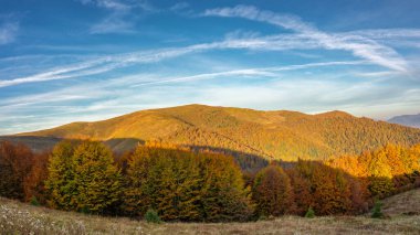 Berrak bir gökyüzü altında canlı yapraklarla kaplı ormanlık tepeleri barındıran nefes kesici bir sonbahar manzarası. Yuvarlanan dağlar ve dağınık bulutlar dingin manzaraya derinlik katıyor.