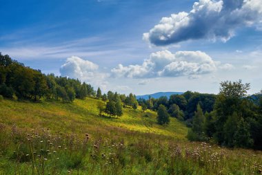Dağınık kır çiçekleriyle dolu, gür, güneşli bir çayır, sık ağaçlarla çevrili ve yuvarlanan tepeler parlak mavi bir gökyüzü altında, tüylü bulutlarla benekli, huzurlu ve manzaralı bir manzara yaratıyor.