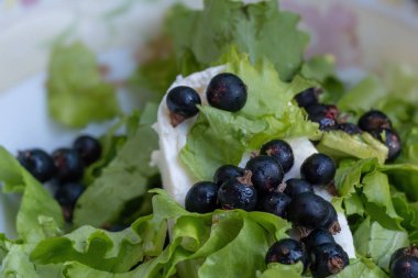 Yeşil salata yaprakları arasında yabanmersini. Meyveli yaz yemeği..