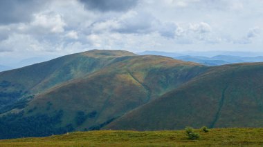 Yuvarlanan yeşil dağ sırtları bulutlu bir gökyüzü altında sisli mesafeye uzanıyor. Çimenli yamaçlar ve orman parçaları huzurlu, yaz doğal manzarası yaratıyor..