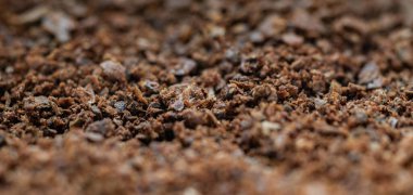 Zemin karanfillerine yakın çekim. Kahverengi aromatik baharat dokusu.