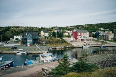 Kanada 'nın Newfoundland Koyu' na yeni yazlık evler inşa edildi. Yüksek kalite fotoğraf