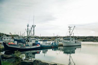 Newfoundland, Kanada - Ağustos 2022: Port de Grave 'de korunaklı küçük bir limanda çok renkli balıkçı tekneleri. Yüksek kalite fotoğraf