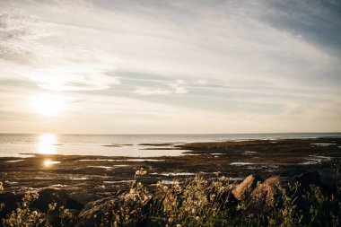Point Prim Light House, Prens Edward Adası, Kanada. Yüksek kalite fotoğraf