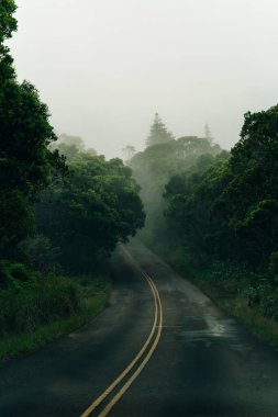 Hawaii 'deki Kauai Adası' ndaki Waimea Kanyonu Yolu 'nun virajı. Yüksek kalite fotoğraf