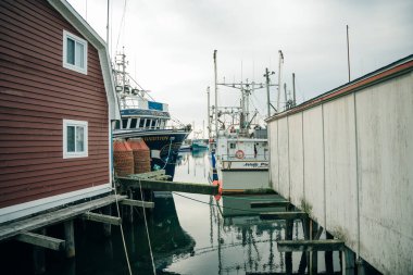 Newfoundland, Kanada - Ağustos 2022: Port de Grave 'de korunaklı küçük bir limanda çok renkli balıkçı tekneleri. Yüksek kalite fotoğraf