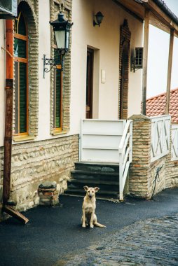 Signagi ve Alazani Vadisi, Gürcistan manzarası.