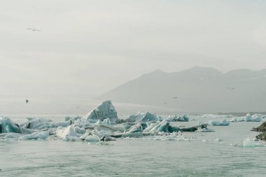 Jokulsarlon Buzul Gölü ve İzlanda 'nın güneyindeki Vatnajokull Ulusal Parkı' nda yer alan Elmas Plajı. Yüksek kalite fotoğraf