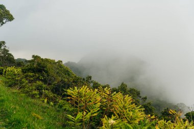 scenic overlook over foggy knife-edged kalalau valley and the pacific ocean in kauai, hawaii. High quality photo clipart