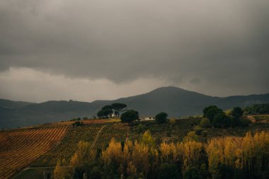 VILLAFRANCA DEL BIERZO, SPAIN -oct 2022 View of vineyards in the Spanish countryside. High quality photo clipart